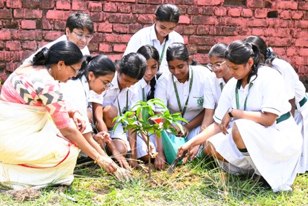 Saplings of Change