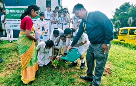 Tree Plantation Programme